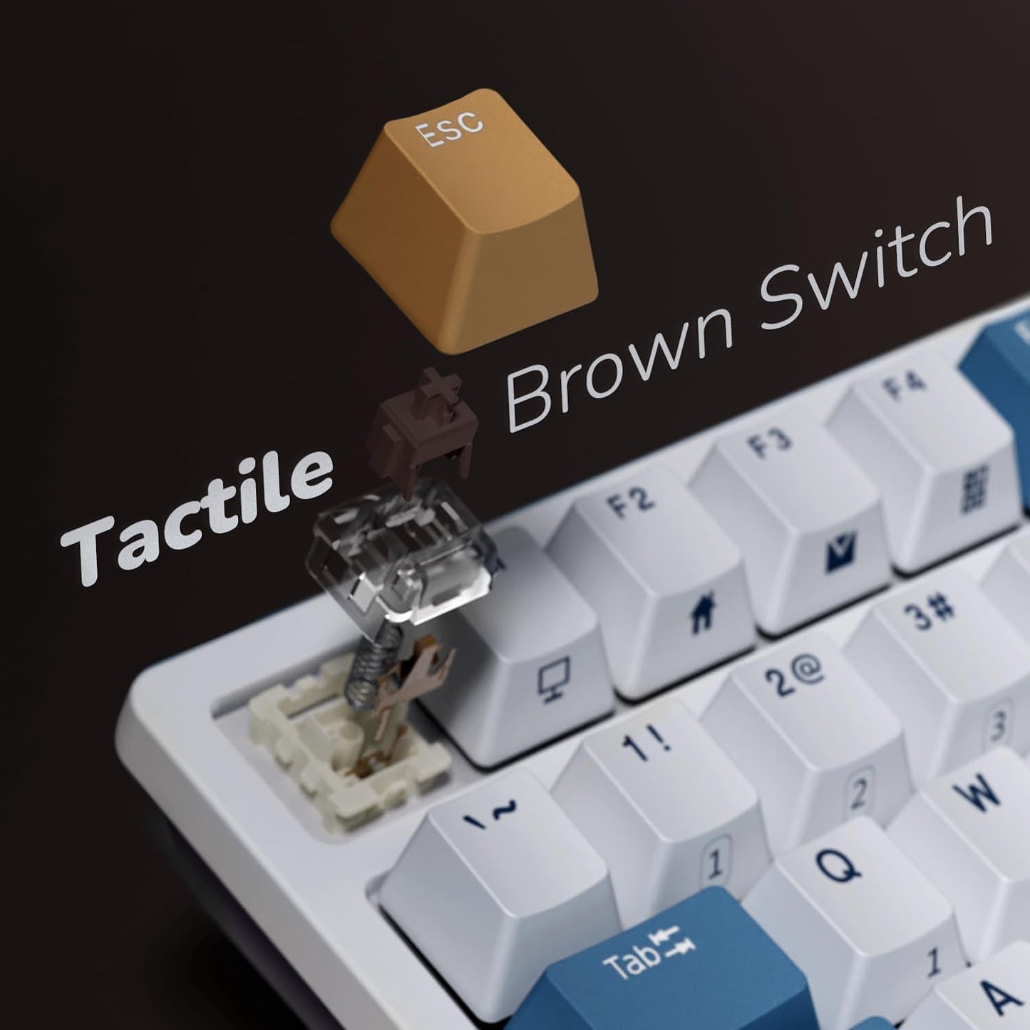 RK98 Wireless Mechanical Keyboard, 100 Keys 98% Layout with Custom Switches Hot Swappable, Tri-Mode BT5.1/2.4G/USB-C Full Size Gaming Keyboard with Numpad RGB, Brown Switch